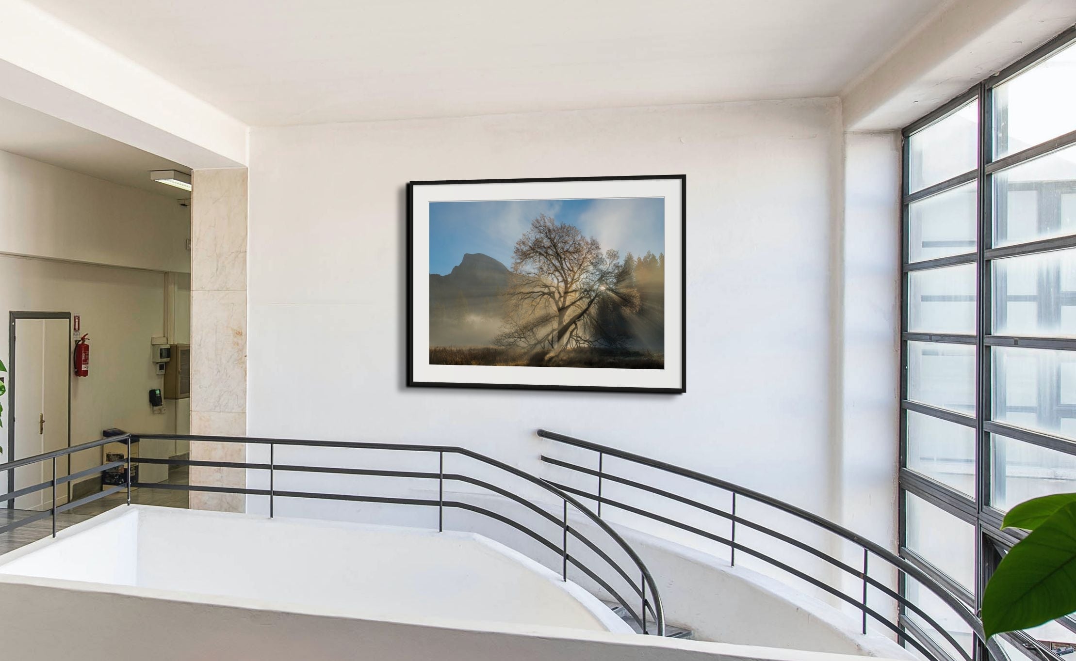 Half Dome, Elm and Sunbeams, Yosemite National Park, California 2016 Shop William Neill 