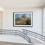 Half Dome, Elm and Sunbeams, Yosemite National Park, California 2016 Shop William Neill 