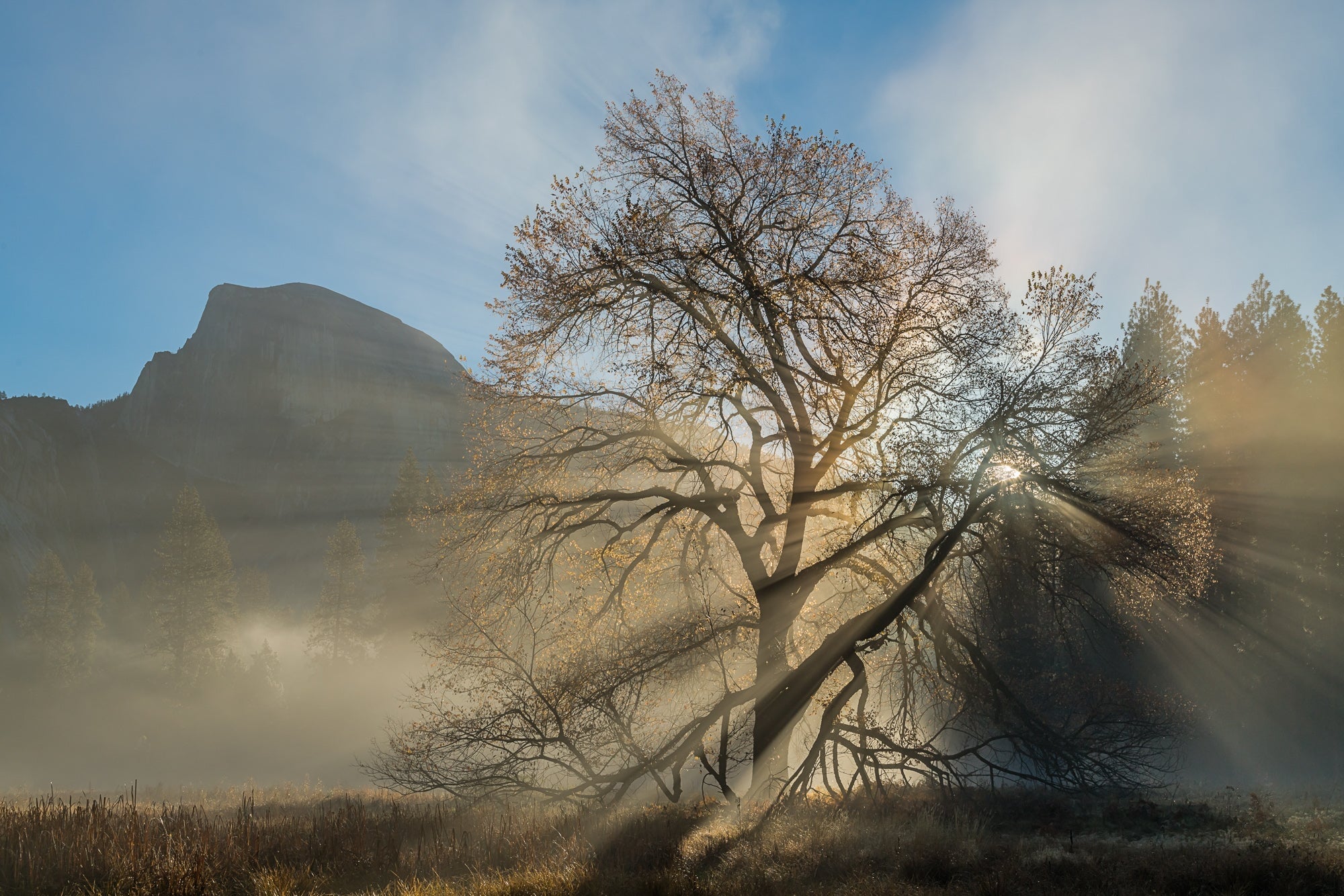 Half Dome, Elm and Sunbeams, Yosemite National Park, California 2016 Shop William Neill 16"x20" 