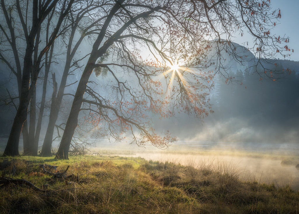 Half Dome, Morning Light