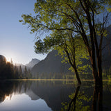 Half Dome, Oaks, High Water, 2011 Shop Michael Frye 