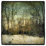 Hay Bales at Edge of Woods Shop Dan Burkholder 
