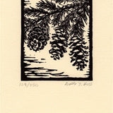 Hemlock Cones.