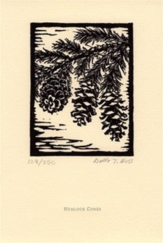 Hemlock Cones.