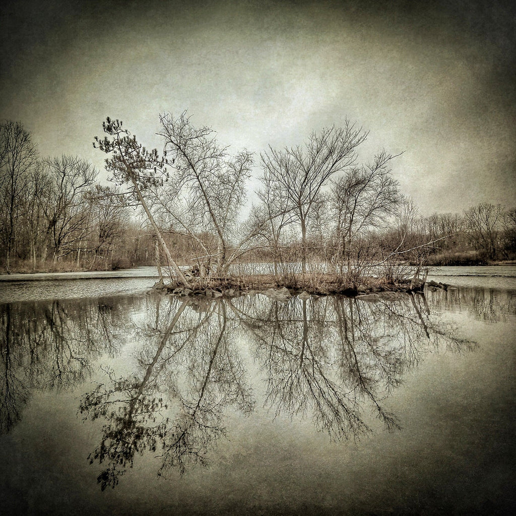 Island on Wetlands, New York