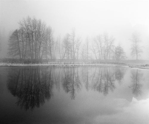 Merced River and Trees, 1991.