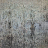 Misty Morning, Cypress Trees, Caddo Lake, Texas.
