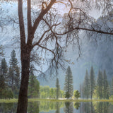 Morning has Broken Shop charlotte gibb 