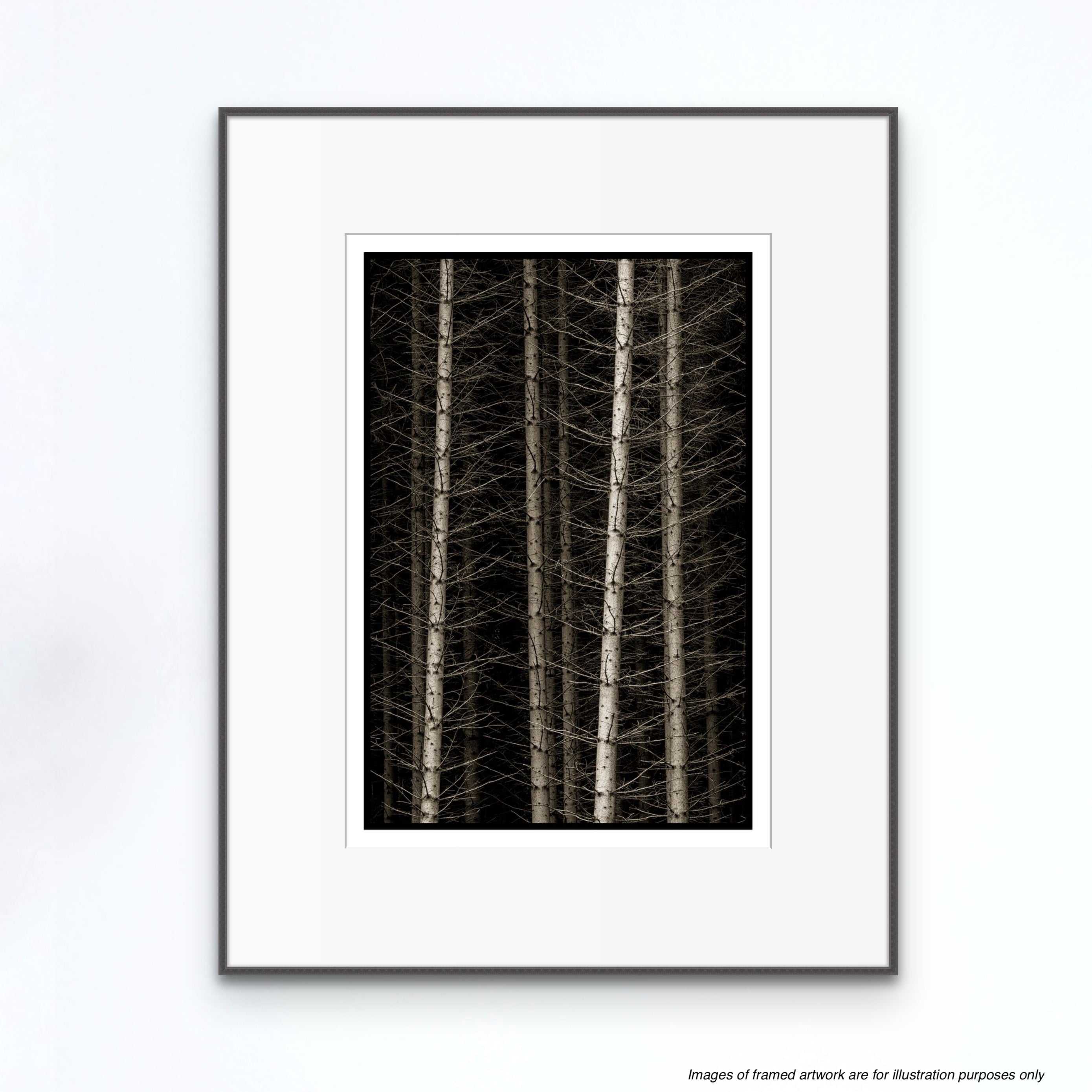 Norwegian Wood, Hemsdal Norway, 2018 Shop_RepArtist Kerik Kouklis 
