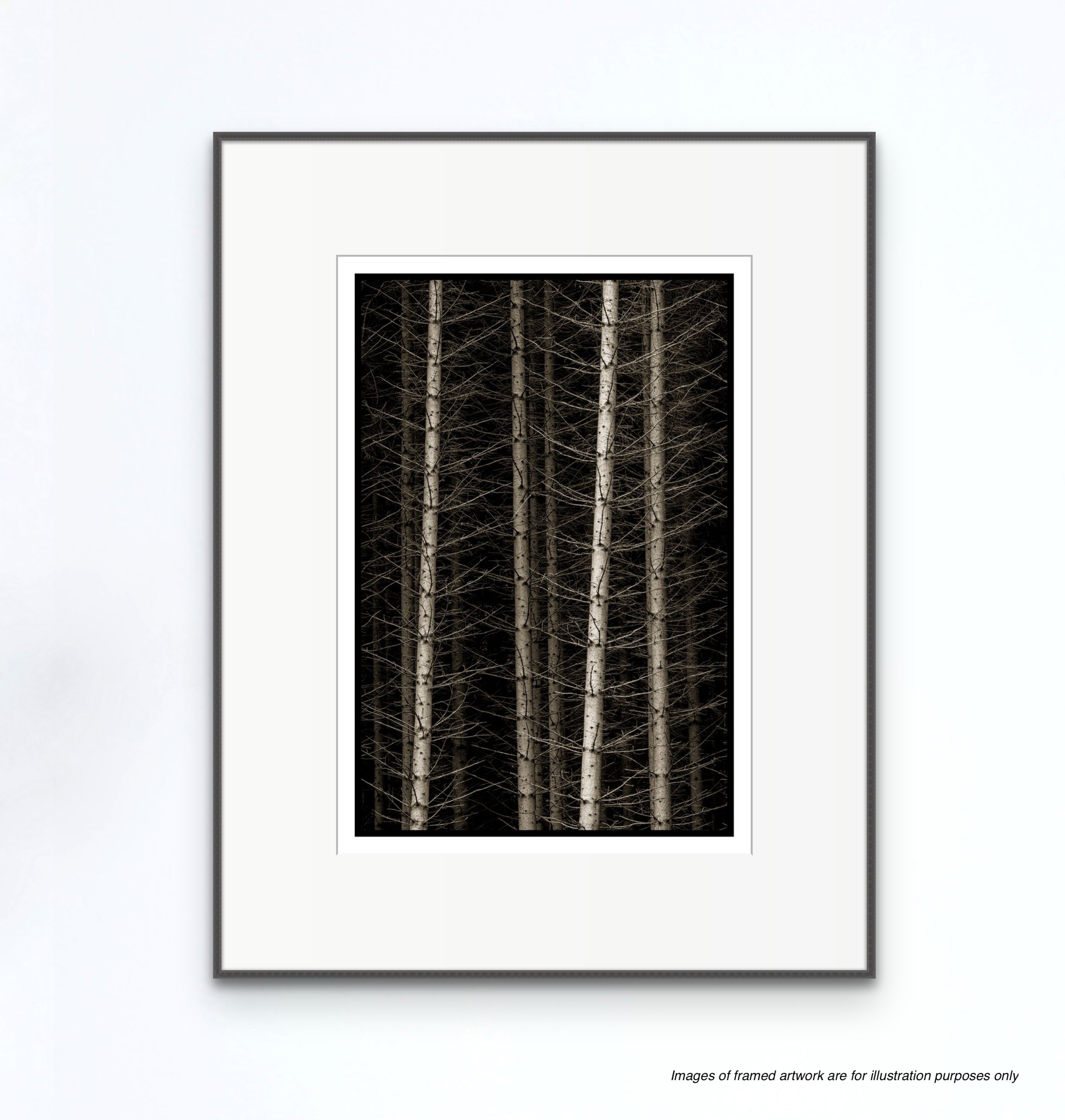 Norwegian Wood, Hemsdal Norway, 2018 Shop_RepArtist Kerik Kouklis 
