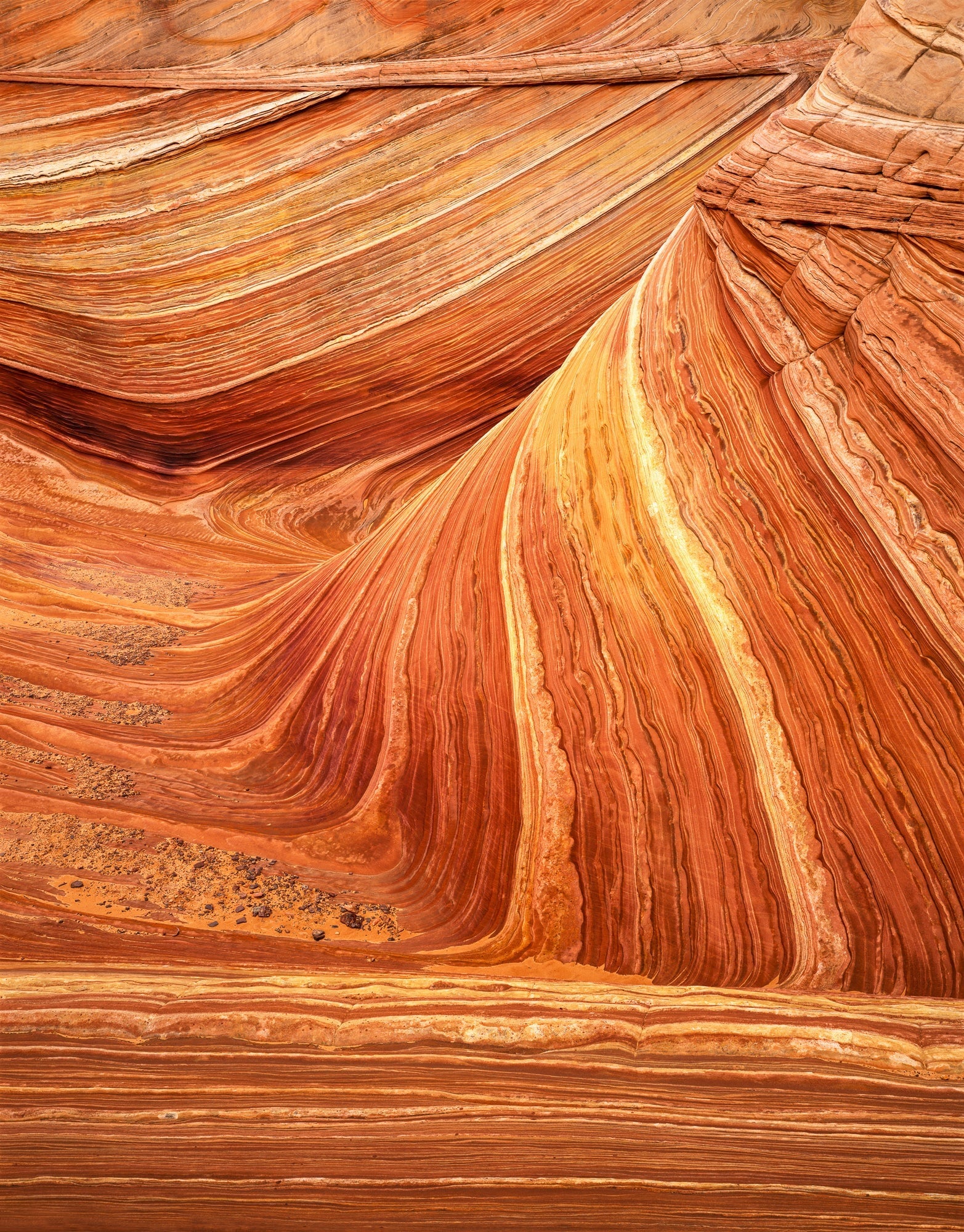Petrified Sand Dune Formations, Paria Canyon-Vermillion Cliffs Wilderness Area, Arizona 2002 Shop William Neill 16"x20" 