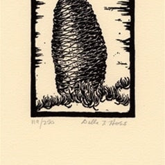 Red Fir Cone.