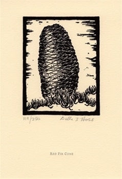 Red Fir Cone
