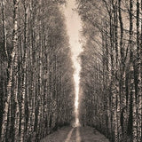 Road To Home.