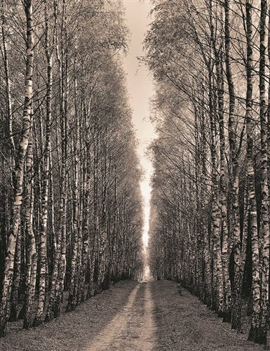 Road To Home.