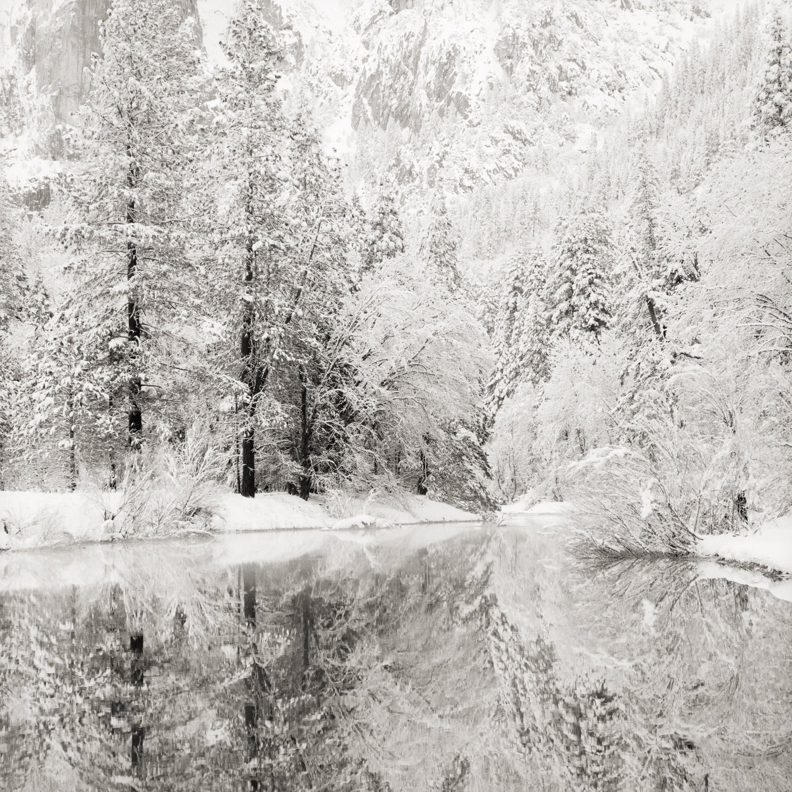 Snow Covered Reflections Shop Jeffrey Conley 8"x8" 