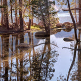 Spring Pool, First Light, Tenaya Lake Shop Charles Cramer 
