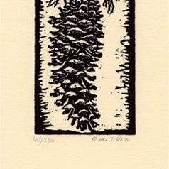 Sugar Pine Cone.