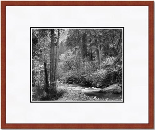 Tenaya Creek, Dogwood, Rain.