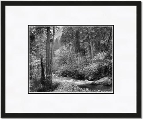 Tenaya Creek, Dogwood, Rain.