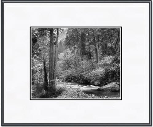 Tenaya Creek, Dogwood, Rain.