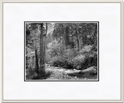 Tenaya Creek, Dogwood, Rain.