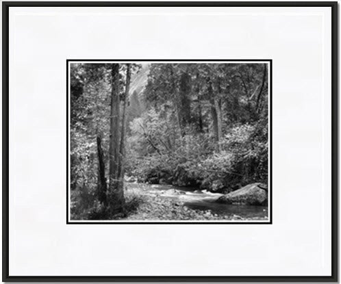 Tenaya Creek, Dogwood, Rain.