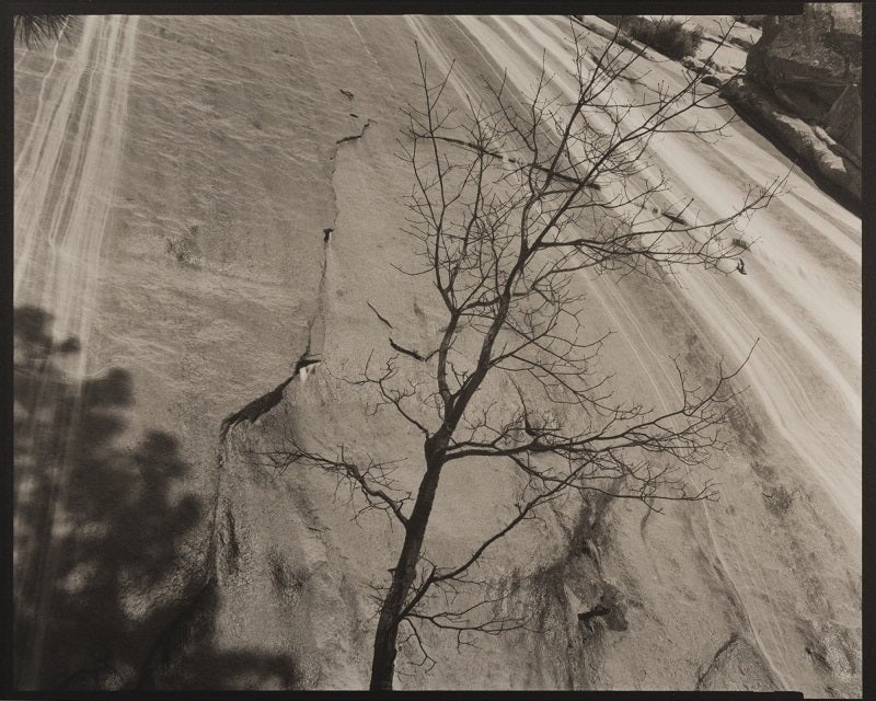 Tree, Waterfall, 2008