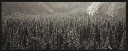 Upper Yosemite Valley, 2005.