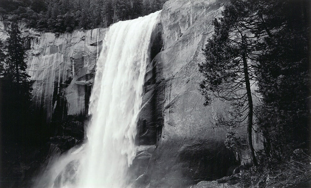Vernal Fall and Tree, 1995 Shop Bob Kolbrener 