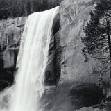 Vernal Fall and Tree, 1995 Shop Bob Kolbrener 