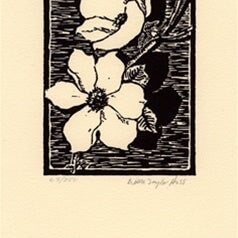 Western Dogwood.