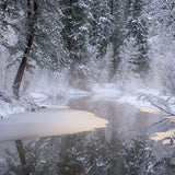 Winter Along the Merced River, Yosemite Shop Michael Frye 