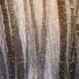 Winter's Fury Shop charlotte gibb 
