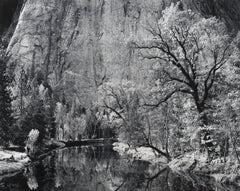 Yosemite Cool Water Set Shop Ansel Adams 