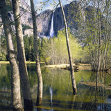 Yosemite Fall and Cottonwood Trees Shop Keith Walklet 